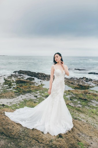 Essense Lupin D3393 #2 (IVIV-PL) IVR Lace & Tulle ov IVR Gown w PLN Front Bod Lining & Plunge thumbnail