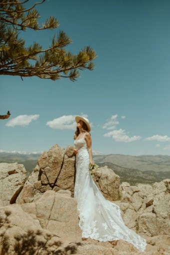 Essense Jasmine D3407 #2 default (IVRM-PL) Ivory Lace & Tulle over Rum Gown w Porcelain Tulle Illusion thumbnail