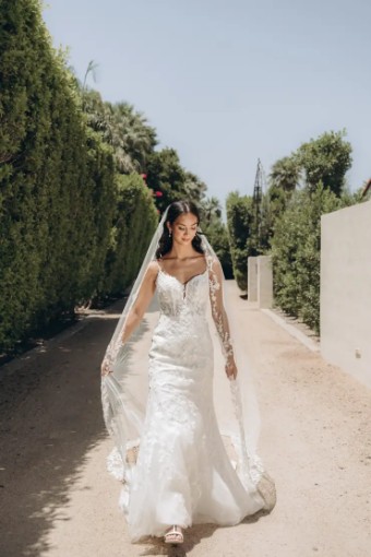 Stella York Susan 8050IQ11 #4 (IVBC-IV) IVORY LACE & TULLE OV BISCOTTI GWN W IVORY TULLE ILLUSION thumbnail