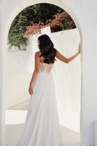 Martina Liana Wellington 1841 #5 default (IVRM-PL) IVR LACE & TULLE OVER RUM GOWN W PLN TULLE INNER BK BOD ONLY thumbnail