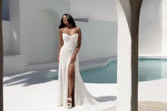 Martina Liana Wellington 1841 #3 (IVRM-PL) IVR LACE & TULLE OVER RUM GOWN W PLN TULLE INNER BK BOD ONLY thumbnail