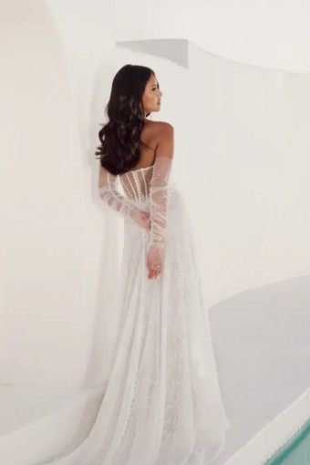 Martina Liana Wellington 1841 #4 (IVRM-PL) IVR LACE & TULLE OVER RUM GOWN W PLN TULLE INNER BK BOD ONLY thumbnail