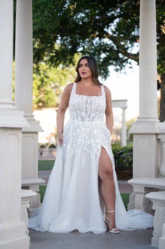 Essense Orchid D4030IV11 #2 (IV-RUM) IVORY LACE TULLE AND ROYAL ORGANZA OVER RUM GOWN thumbnail