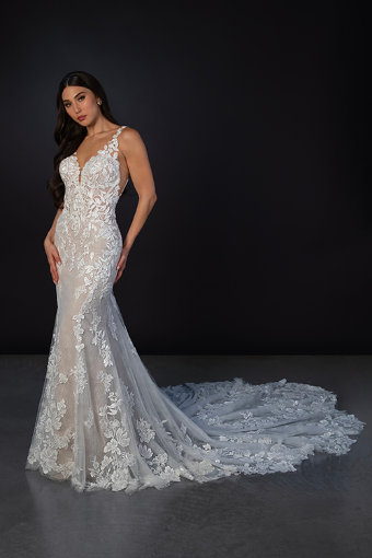 Martina Liana Brooks ML1908 #3 (IVRM-PL) Ivory Lace & Tulle over Rum Gown w Porcelain Tulle Illusion thumbnail