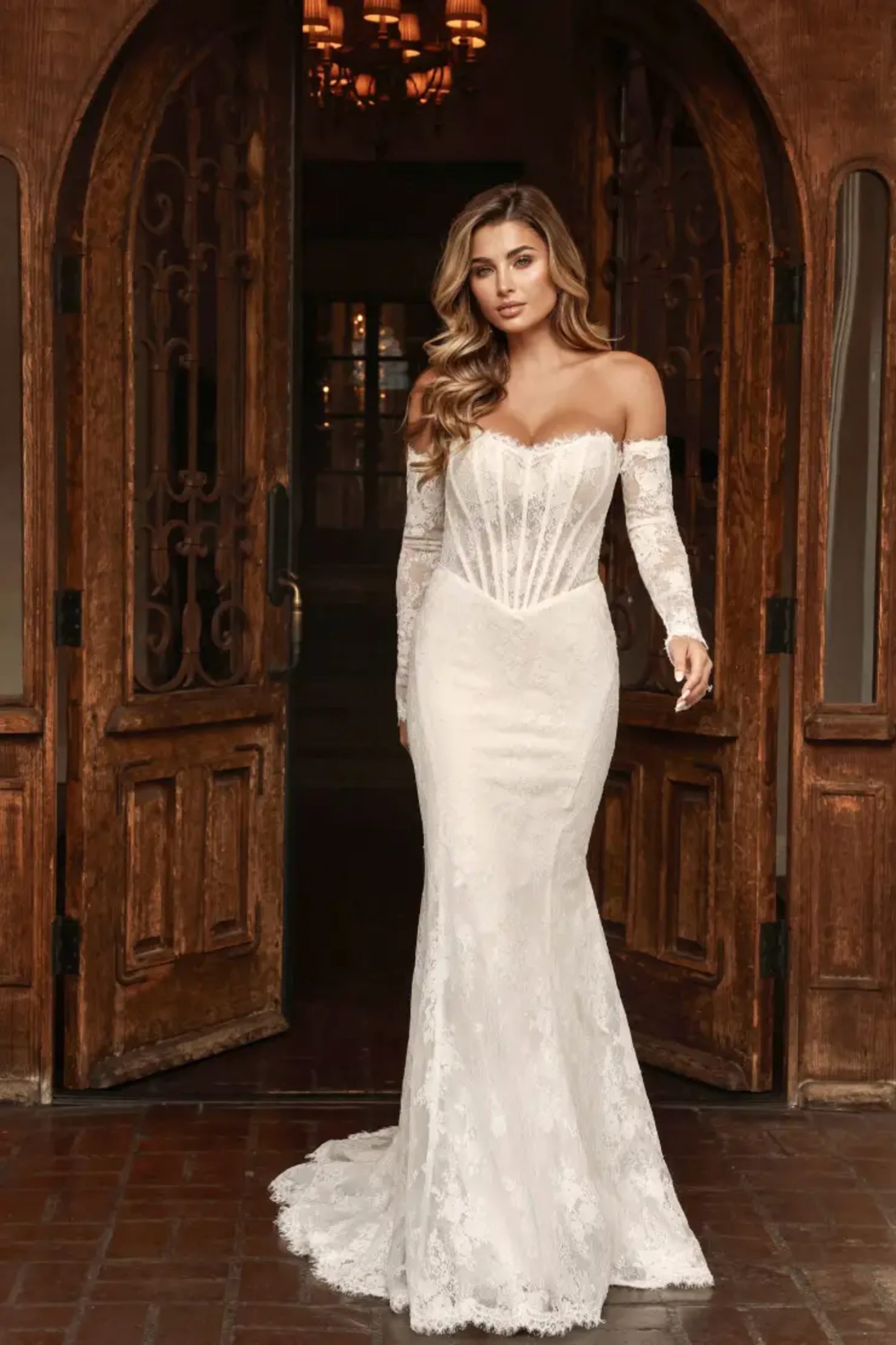 Graellsia　isabellae　92mm 2頭限り Essense of Australia Wedding Dresses | Isabella Grace Bridal