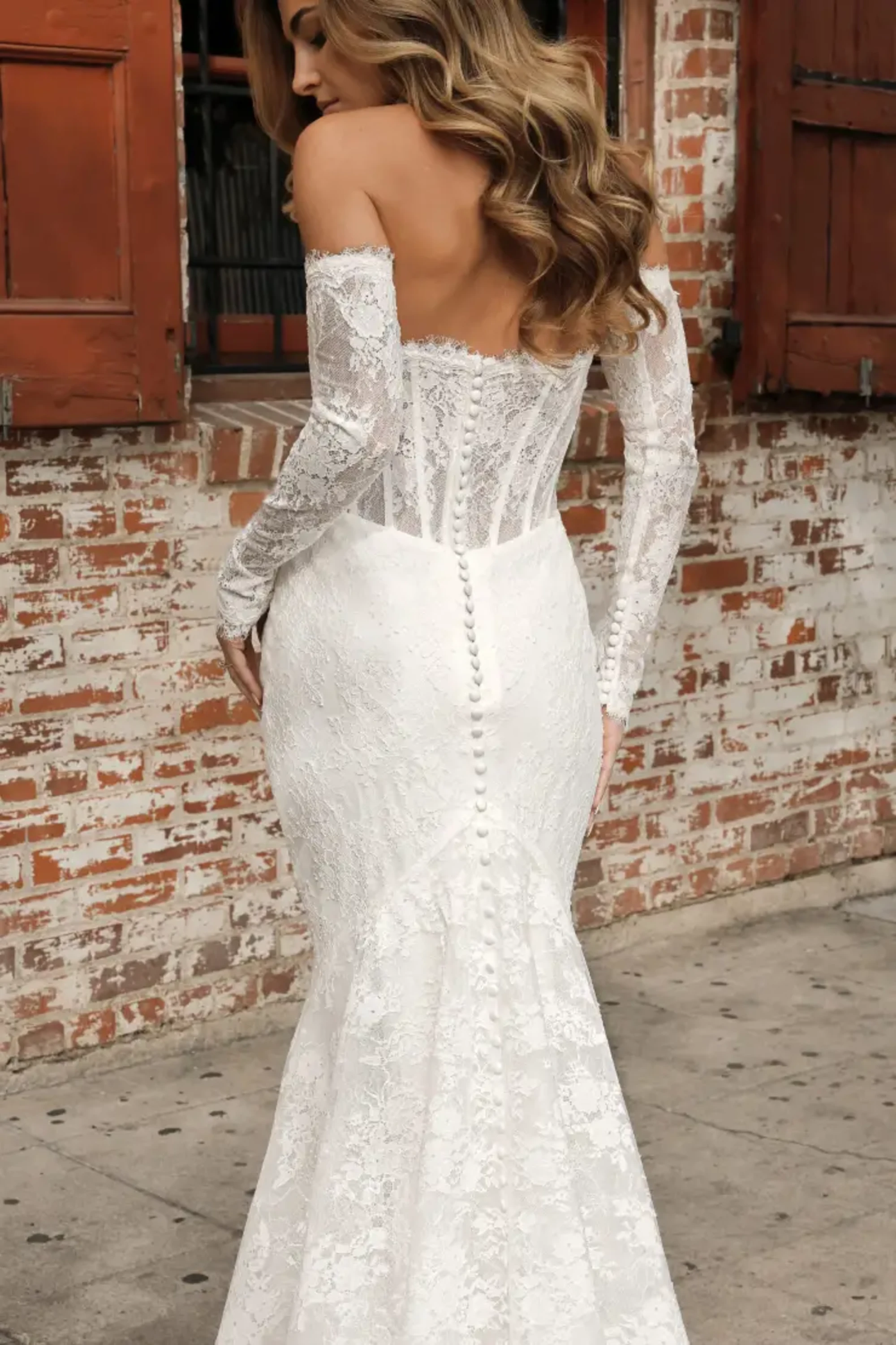 Graellsia　isabellae　92mm 2頭限り Essense of Australia Wedding Dresses | Isabella Grace Bridal