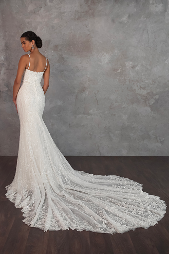 Essense Aster D4279A13 #1 (IV-IV) IVORY LACE EMBROIDERY AND TULLE OVER IVORY GOWN thumbnail